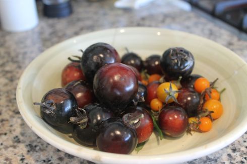 Purple heirloom tomatoes—so happy that they're flowering again!